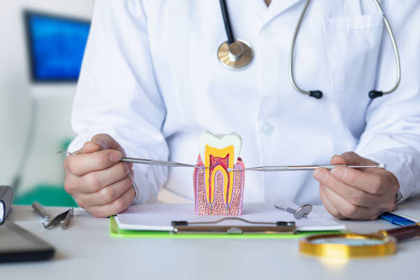 Best Emergency Treatment for Toothache in Roan Mountain, TN